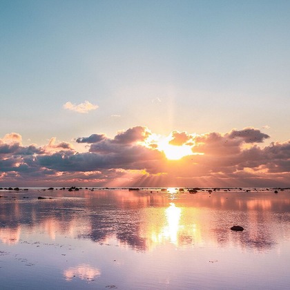 田近　ひとみが撮影した「:albumName」の写真