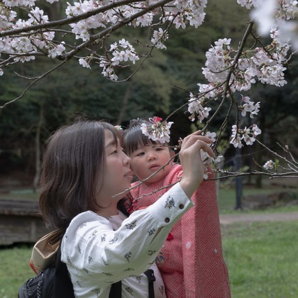 ミヤタカズコが撮影した「:albumName」の写真