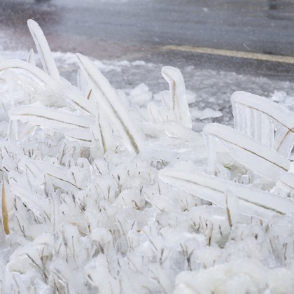 ブイ・シー・エス　アーガシアが撮影した旅行先の記念撮影の写真