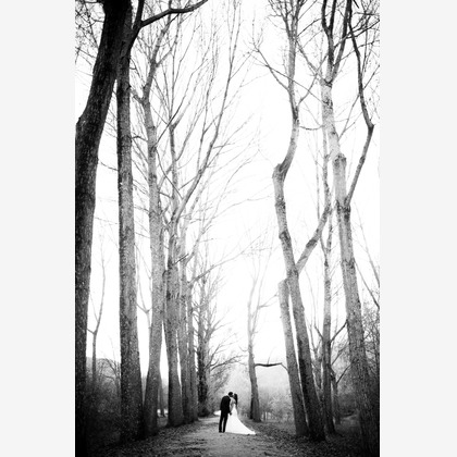 Tony Romeroが撮影したウェディングや家族、ビジネスの写真