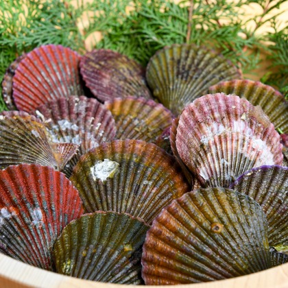 海住写真事務所が撮影した料理撮影の写真