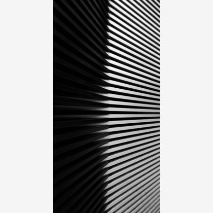 アンドCが撮影したウェディングや家族、ビジネスの写真