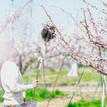 umimoyamamoworksが撮影した「:albumName」の写真