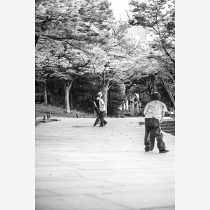 川淵 拓也が撮影した「:albumName」の写真