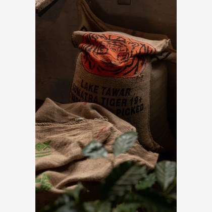 studio aluc ~スタジオ アルク~が撮影した「:albumName」の写真