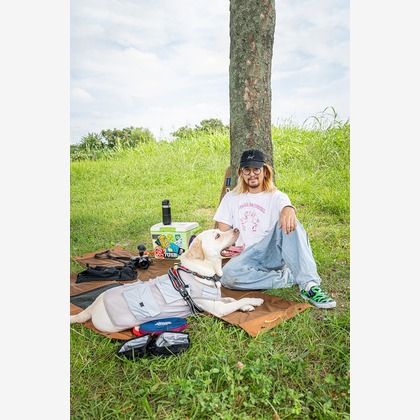 吉田佳央が撮影した「DOG SHOOTING」の写真