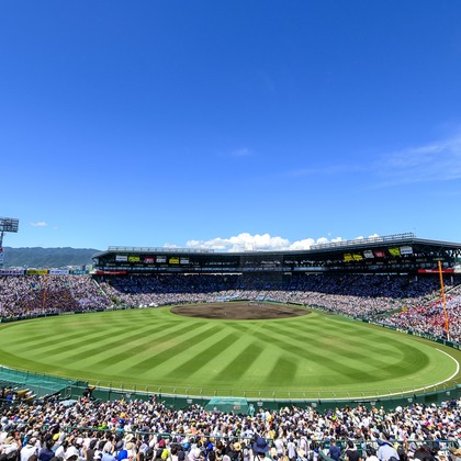 写真屋ごんちゃんが撮影したウェディングや家族、ビジネスの写真