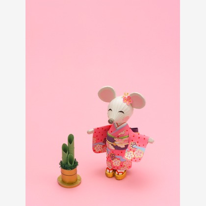 谷崎 春彦（T-Studio）が撮影した「:albumName」の写真