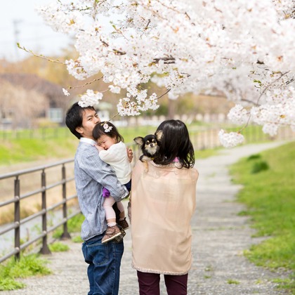 ヤマダフォトが撮影した「:albumName」の写真