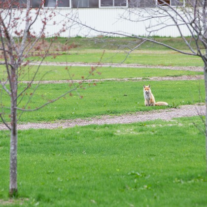 眞田 厚司が撮影したウェディングや家族、ビジネスの写真