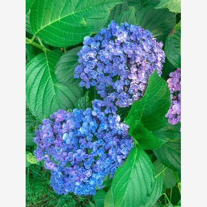 佐野章太が撮影した店舗/オフィス/サロン撮影/不動産/竣工の写真