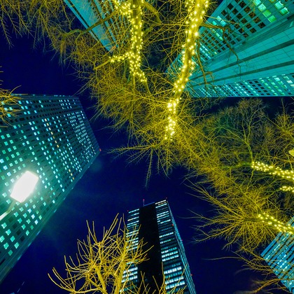 KurickMarry結婚相談所 丨 栗山　稔が撮影した「:albumName」の写真