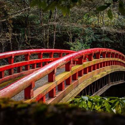 水嶋 将太が撮影した「:albumName」の写真