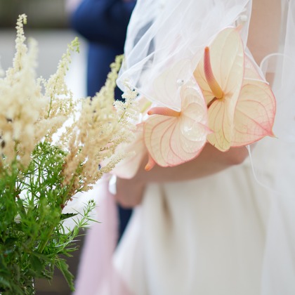 アートシーン株式会社が撮影した「:albumName」の写真