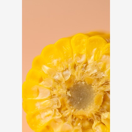 Hiroが撮影した「:albumName」の写真