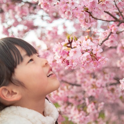 ゆのみふぉとが出張撮影した自然の中の人々, 手をつないで, 友情などが写った「桜とお写真」の家族写真