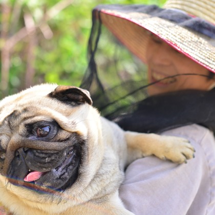 Peace-full photoが撮影した「:albumName」の写真