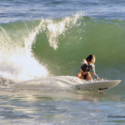 TSD officeが撮影した「:albumName」の写真