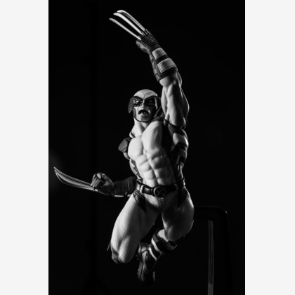 写真屋ごんちゃんが撮影した商品/物撮りの写真