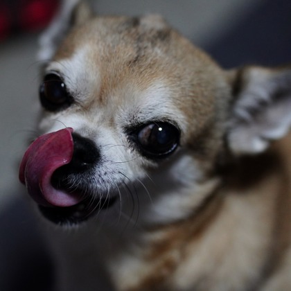 鈴木賢志が撮影したその他の写真