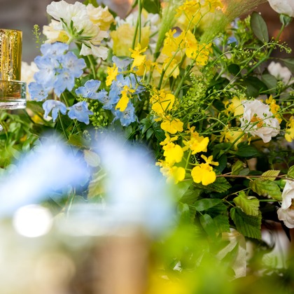 スタジオファンタスが撮影した「:albumName」の写真