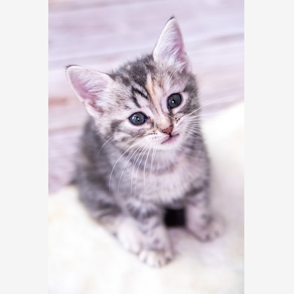 本郷直人が撮影した「:albumName」の写真