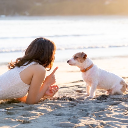 Peace-full photoが撮影した「ペット撮影」の写真