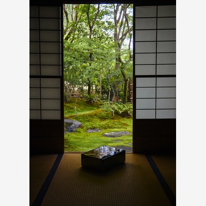 kiharu&photoが撮影した「:albumName」の写真