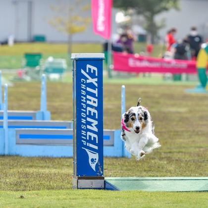 スタジオファンタスが撮影した「:albumName」の写真