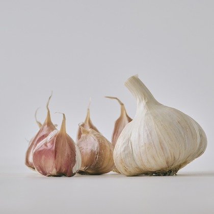 佐藤　陽亮が撮影した「:albumName」の写真