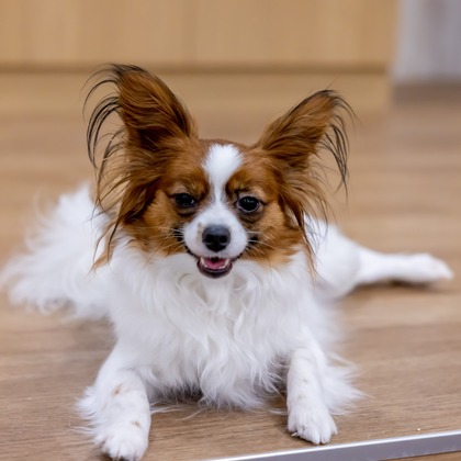 沖山俊樹が撮影した「:albumName」の写真