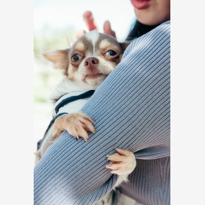 ポートレート沖縄が撮影した「:albumName」の写真