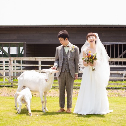 BigMike Photosが撮影した「:albumName」の写真