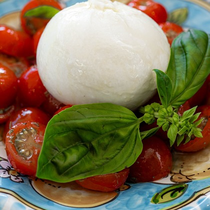 AVSが撮影した「:albumName」の写真