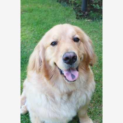 外川博己が撮影したその他の写真