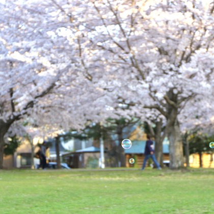 TATEZOUが撮影した「:albumName」の写真