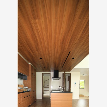 長谷川　光則が撮影した「:albumName」の写真