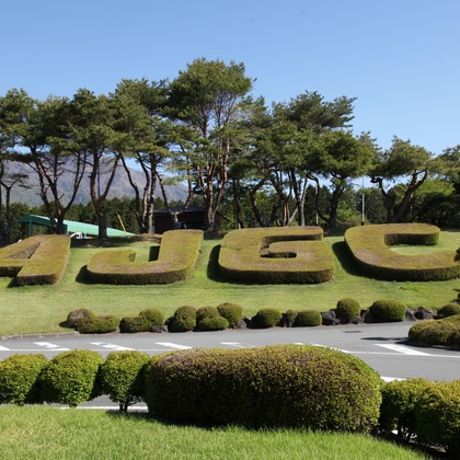 あとりえmagが撮影したウェディングや家族、ビジネスの写真