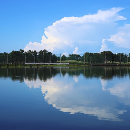 COAフォトが撮影したその他の写真