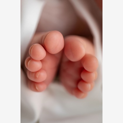 岩坪眞一郎が撮影した「:albumName」の写真