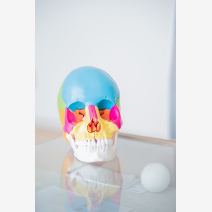 出張撮影 中村まみこが撮影した店舗/オフィス/サロン撮影の写真