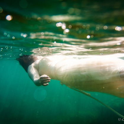 U-CONCENT (香川裕貴)が撮影したウェディングや家族、ビジネスの写真