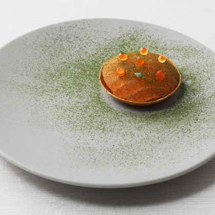 森安　照が撮影した「:albumName」の写真