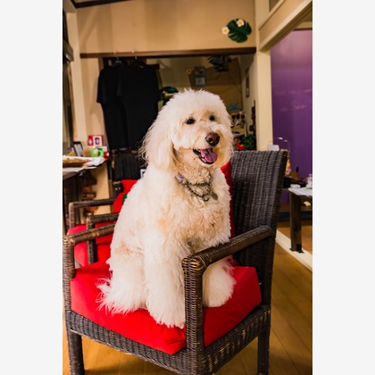 MTワークスが撮影した「企業撮影」の写真