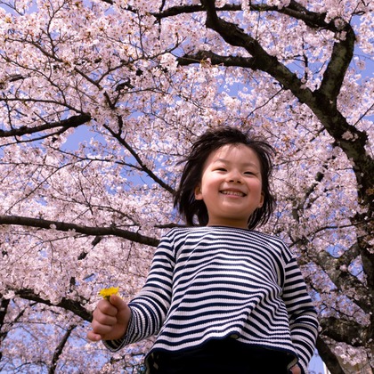 Wedding, Bridal Photos taken by Ayumu Yamashita