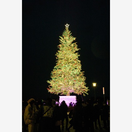 ウィリアムズ　侑依が撮影した「ナイトウェディング」の写真