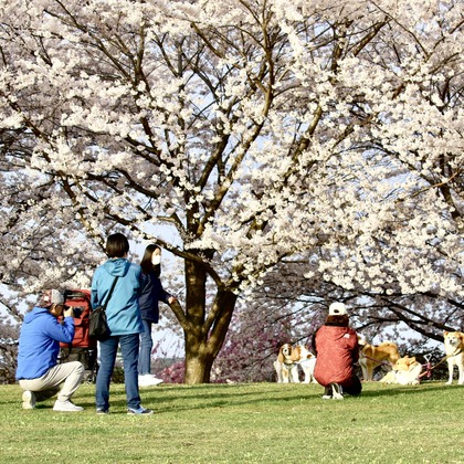 TATEZOUが撮影した「:albumName」の写真