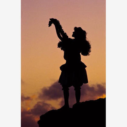 FRANK SAKAKIBARAが撮影した「:albumName」の写真