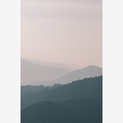 大坪幹武が撮影したウェディングや家族、ビジネスの写真