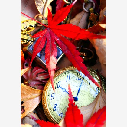 合同会社めろんぱん・ふぉとが撮影した商品/物撮りの写真